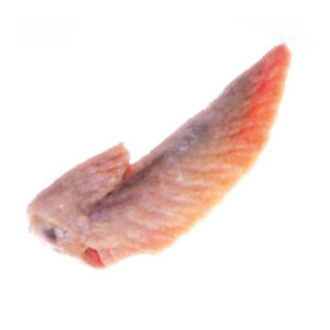 Chicken  Wing Tip