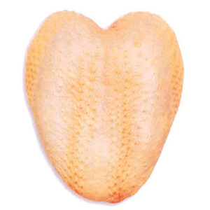 Chicken Breast Boneless Skin on with inner fillet