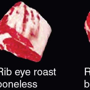 Rib