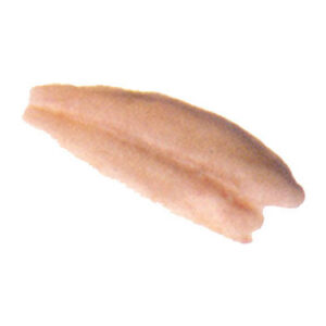 Sutchi Dory Fillet